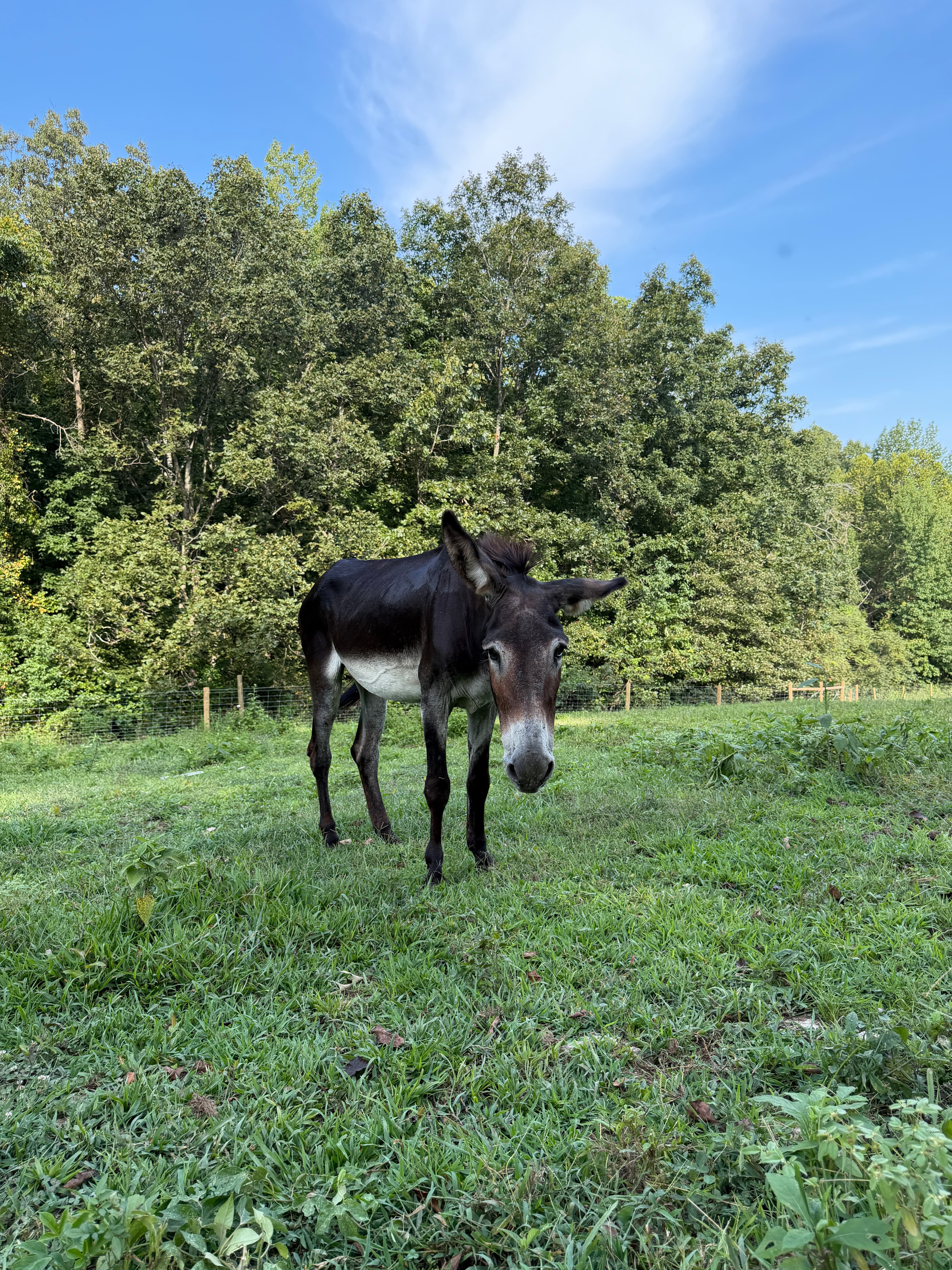 Photo of Waylon