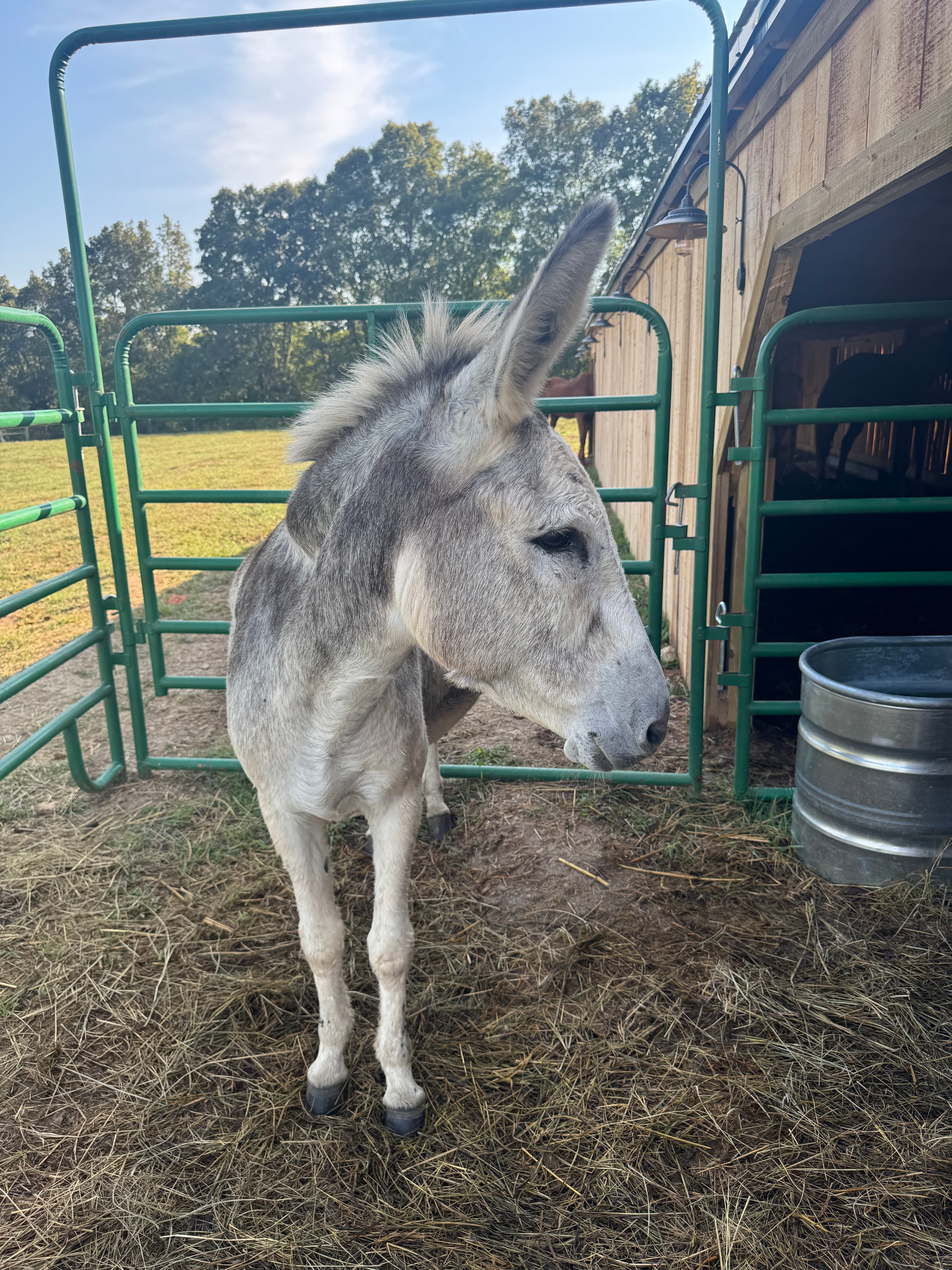 Photo of Okie