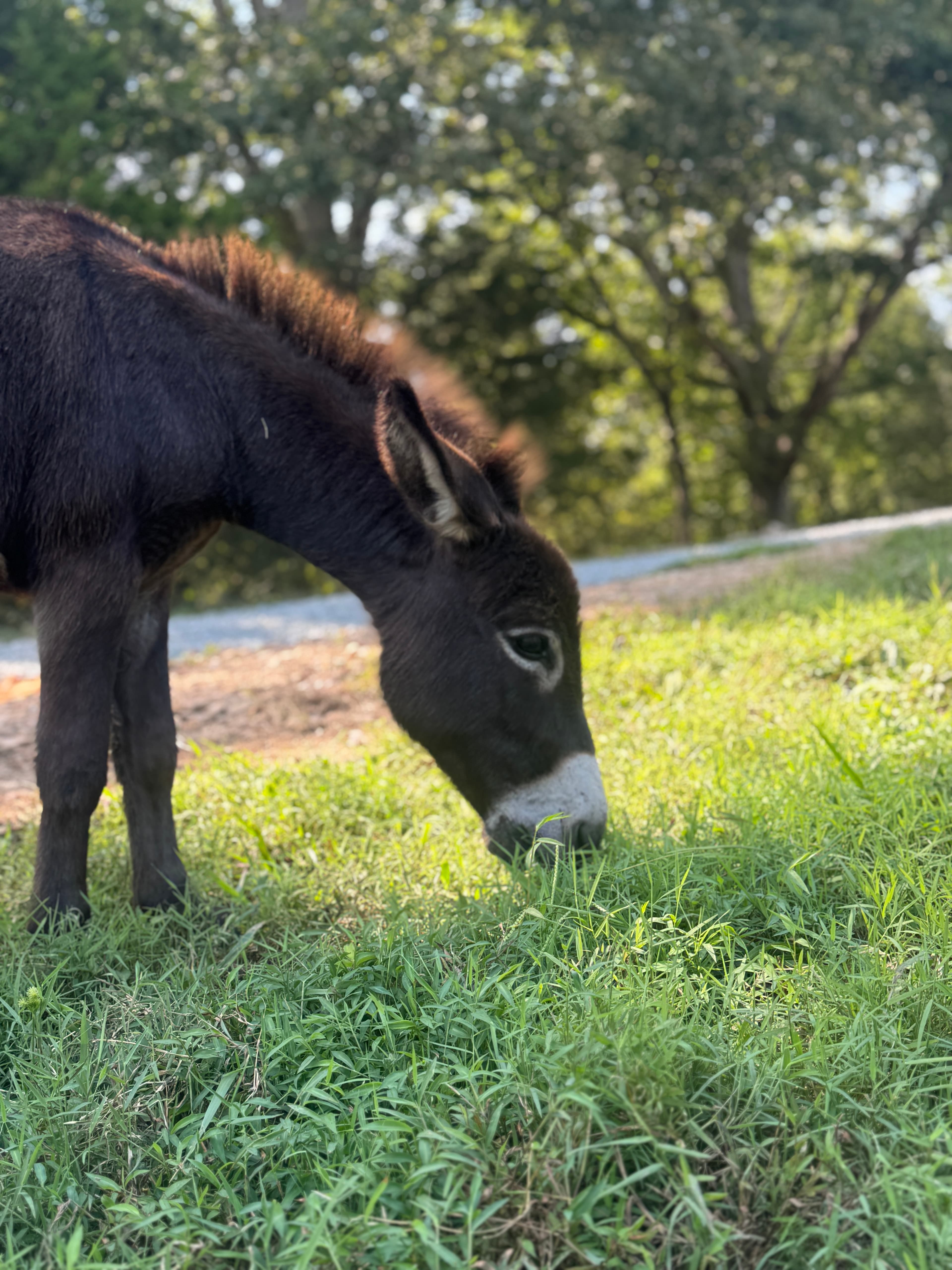 Photo of Cash