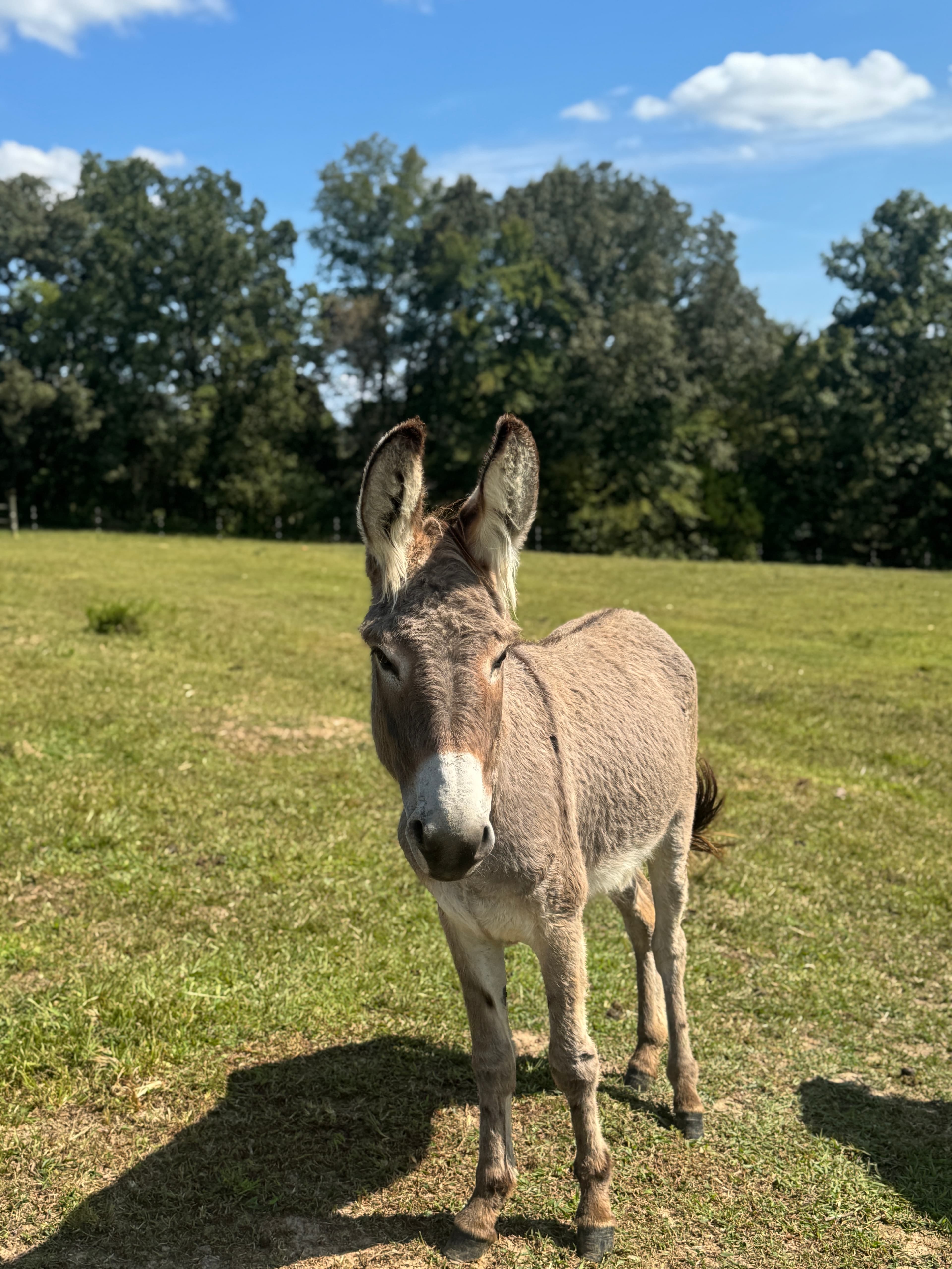 Photo of Jet