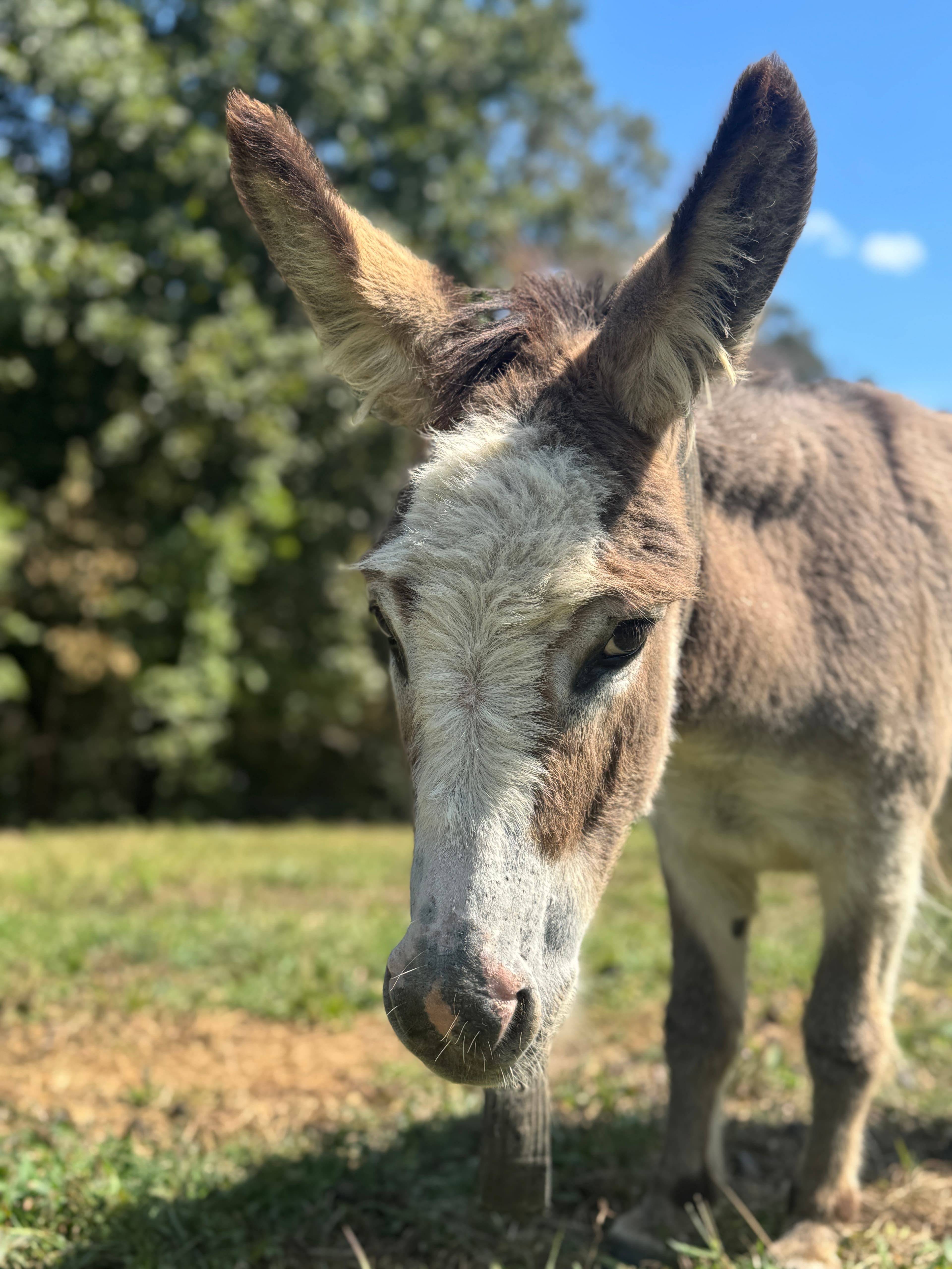 Photo of Lizzie Lou