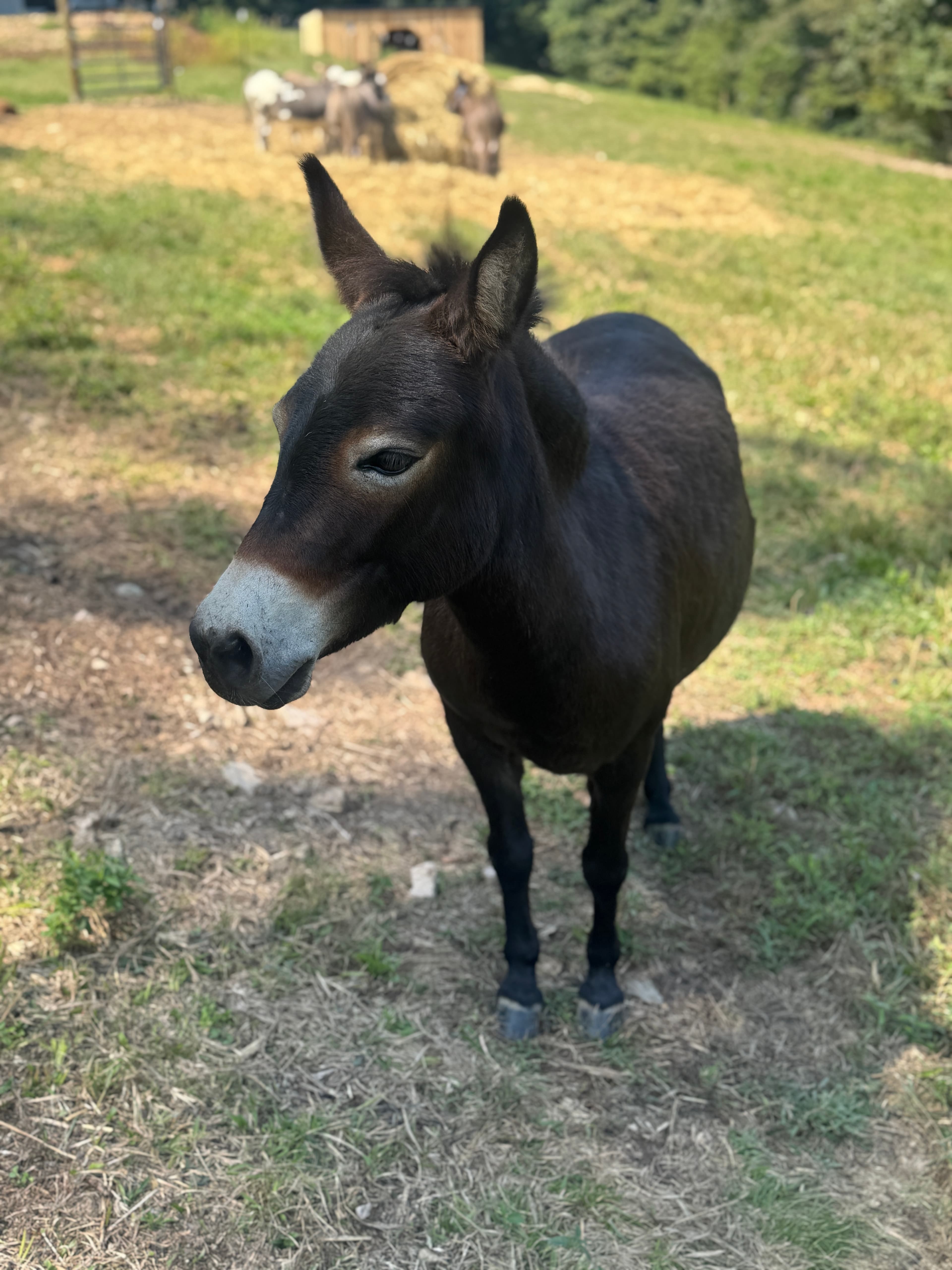 Photo of Winnie