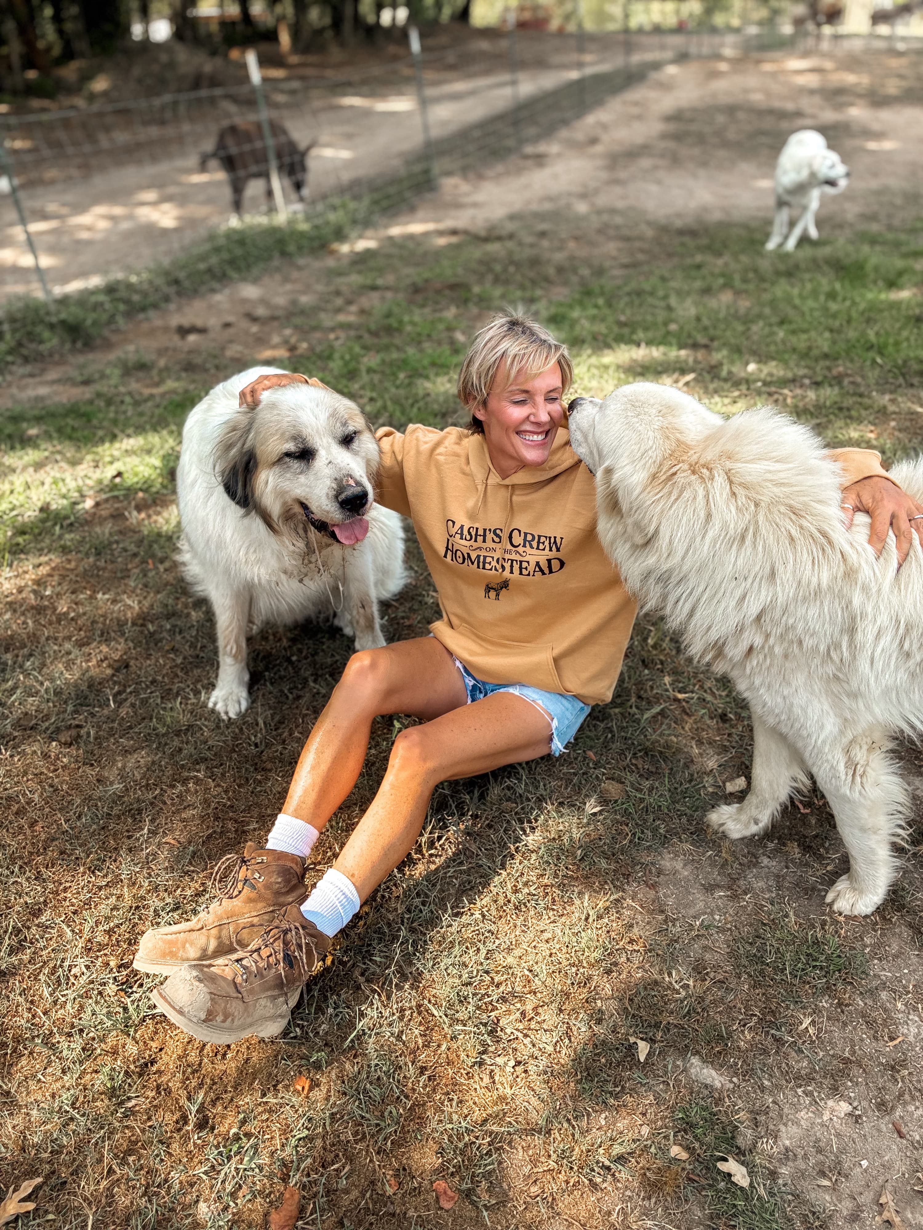Wearing the Cash's Crew on the Homestead tee out in the paddock, hand resting on a draft horse standing at the hay feeder