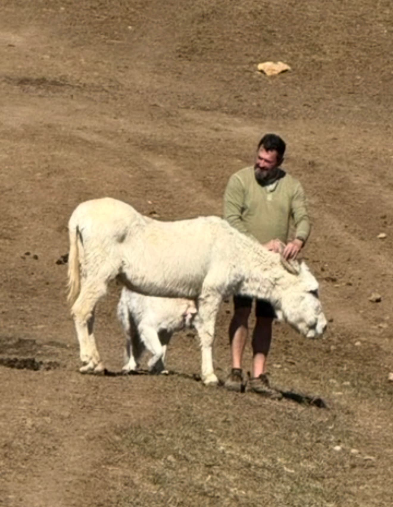 Photo of Frosty
