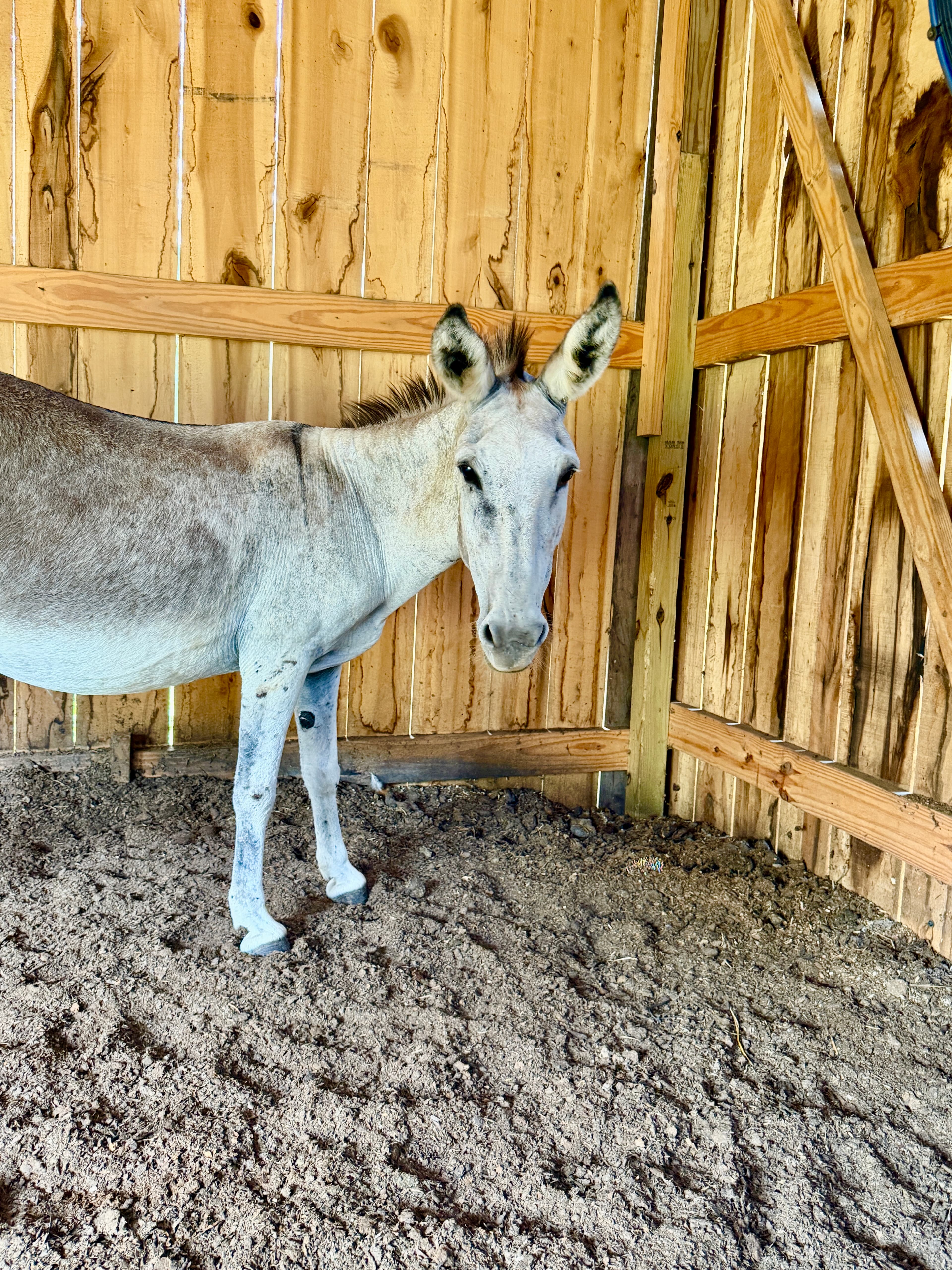 Photo of Velma