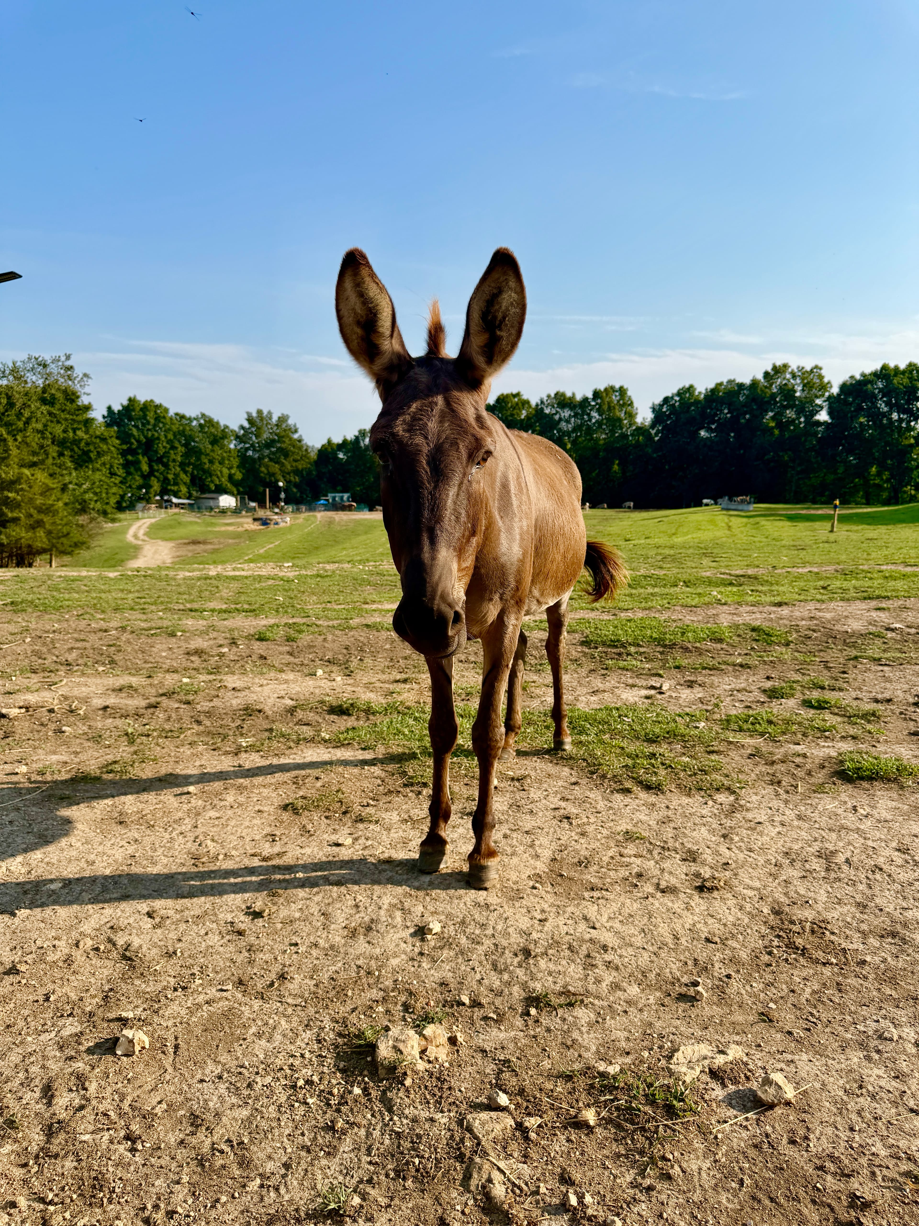 Photo of Ruthie